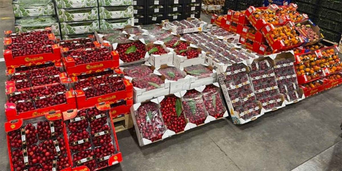 Prime ciliegie italiane nei mercati: le pezzature top volano a 25 euro al chilo